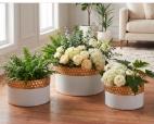 Ensemble de 3 cache-pots