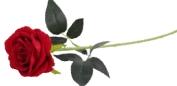 Artificial Rose Red Length: 67 cm