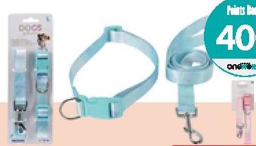 Dogs Collection Collar with Leash