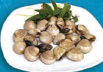 Xcellent Frozen Tofu Meat Clam Whole 500g