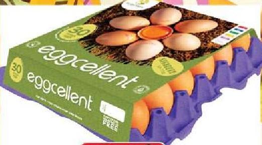 Eggcellent Standard Eggs X30