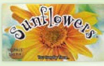 SUNFLOWERS Tissue*100