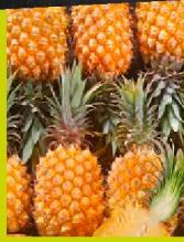 Pineapple per piece