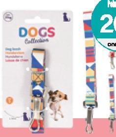 Dogs Collection Leash with Stripes 120cm