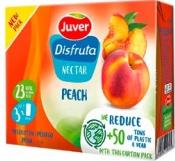 Jus de fruits Disfruta Peach Nectar, 3 bricks of 200 ml