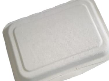 GREEN LIFE BIO TAKE AWAY 7.5 X 10 PCS