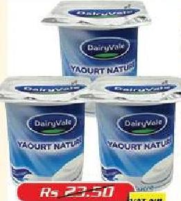 Dairyvale Yaqourt Nature 125g