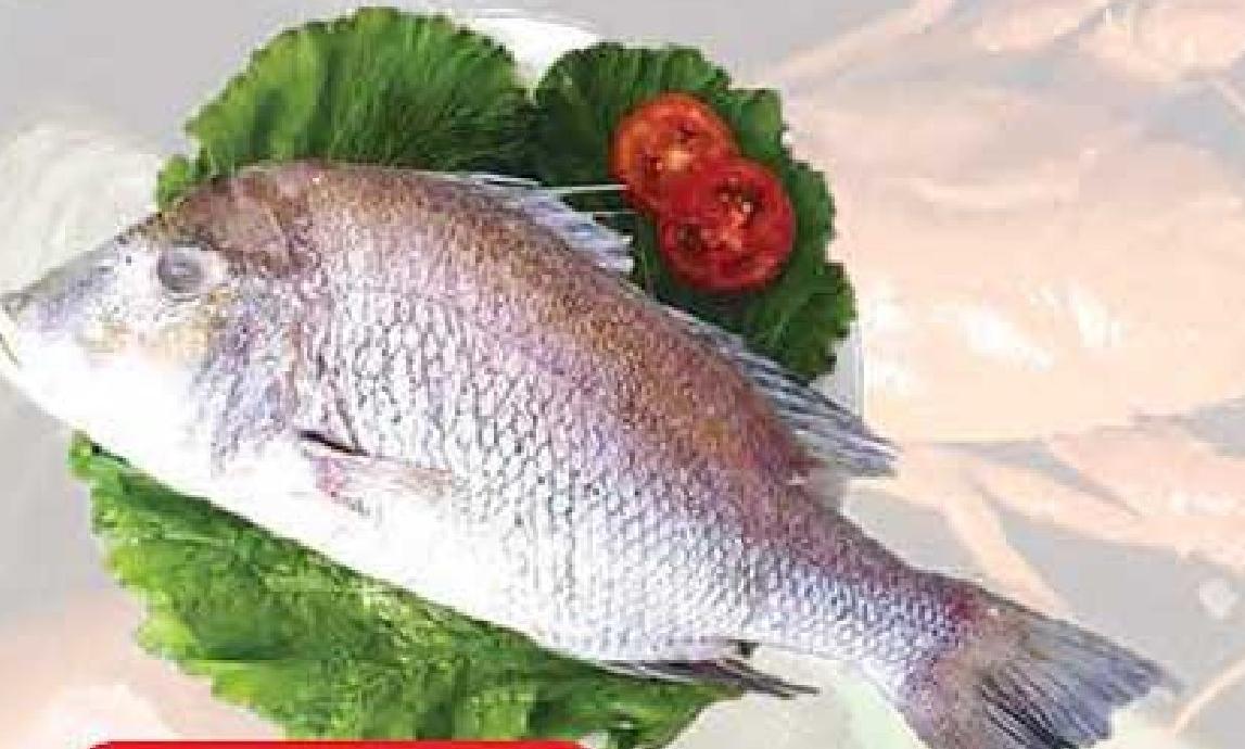 Sea Bream 500G