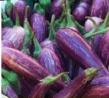 Eggplant Les 500 g