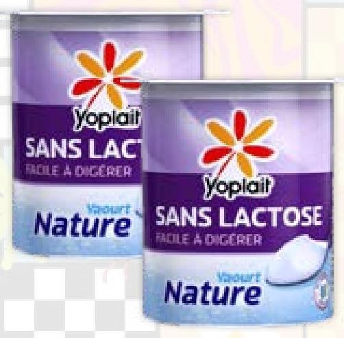 Yoplait Yaourt Nature Sans Lactose 115g