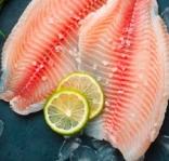 Tropical Bar Fish Fillets Captain Hook 500g