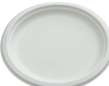 Bio Round Paper Plate 10 Inch X 10