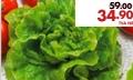 Batavia Lettuce per piece
